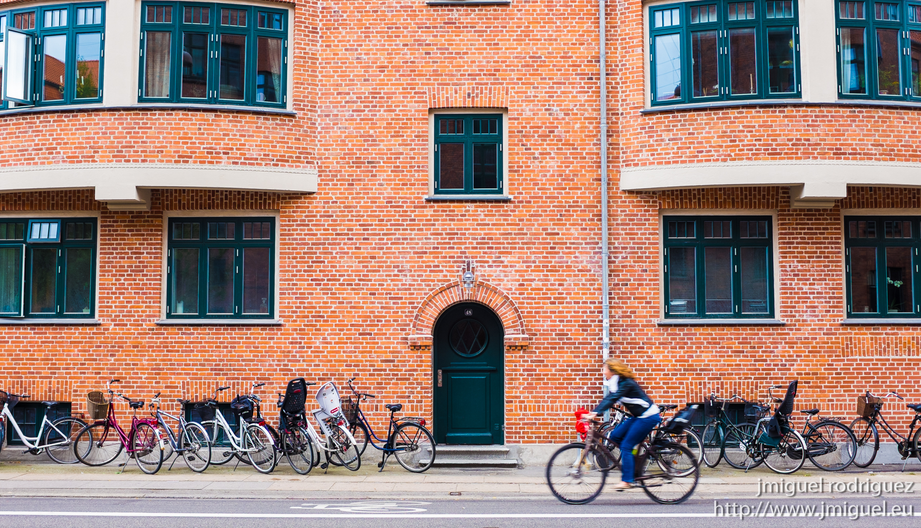 Bicicleta en Copenhage